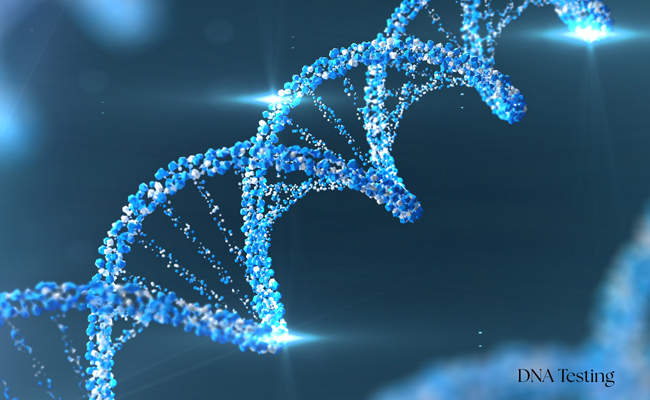 dna testing family genetics